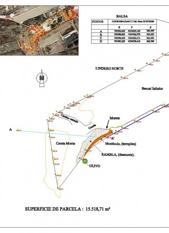 Topografia y Mediciones en Alicante