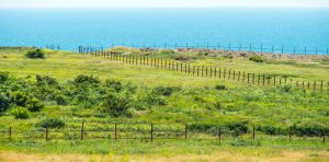 ejemplo de finca con proceso de deslinde